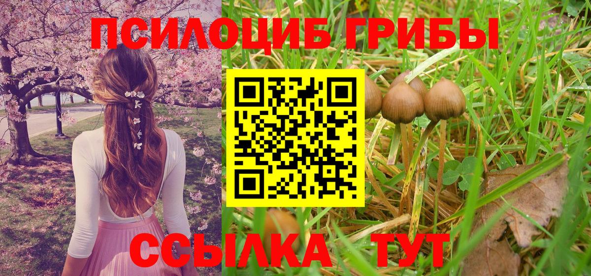 Псилоцибиновые грибы Psilocybine cubensis  Галлюциногенные грибы прущие грибы  Вход с VPN  Мегион 